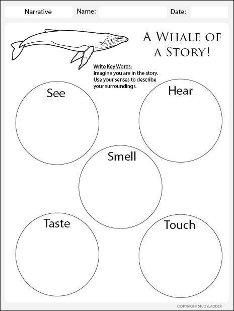 A Whale of a Story- Descriptive Words Worksheet - Studyladder ...