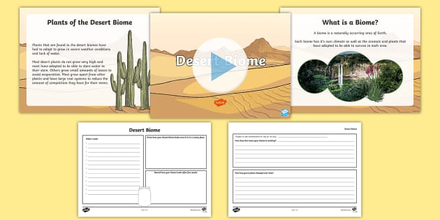 desert biome worksheet