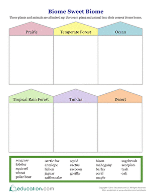 Biome Sweet Biome | Worksheet 