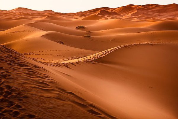 How many countries does the Sahara Desert touch? - Quora