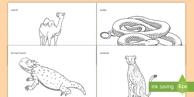 desert worksheet for kids