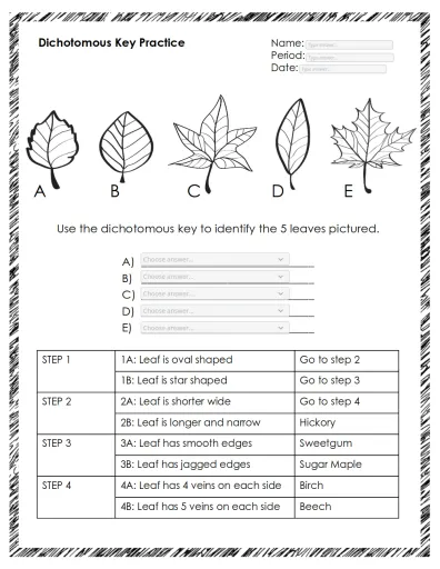 Dichotomous key tree worksheet Interactive Worksheet - Edform