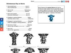 Dichotomous Key Worksheet for 6th - 12th Grade | Lesson Planet