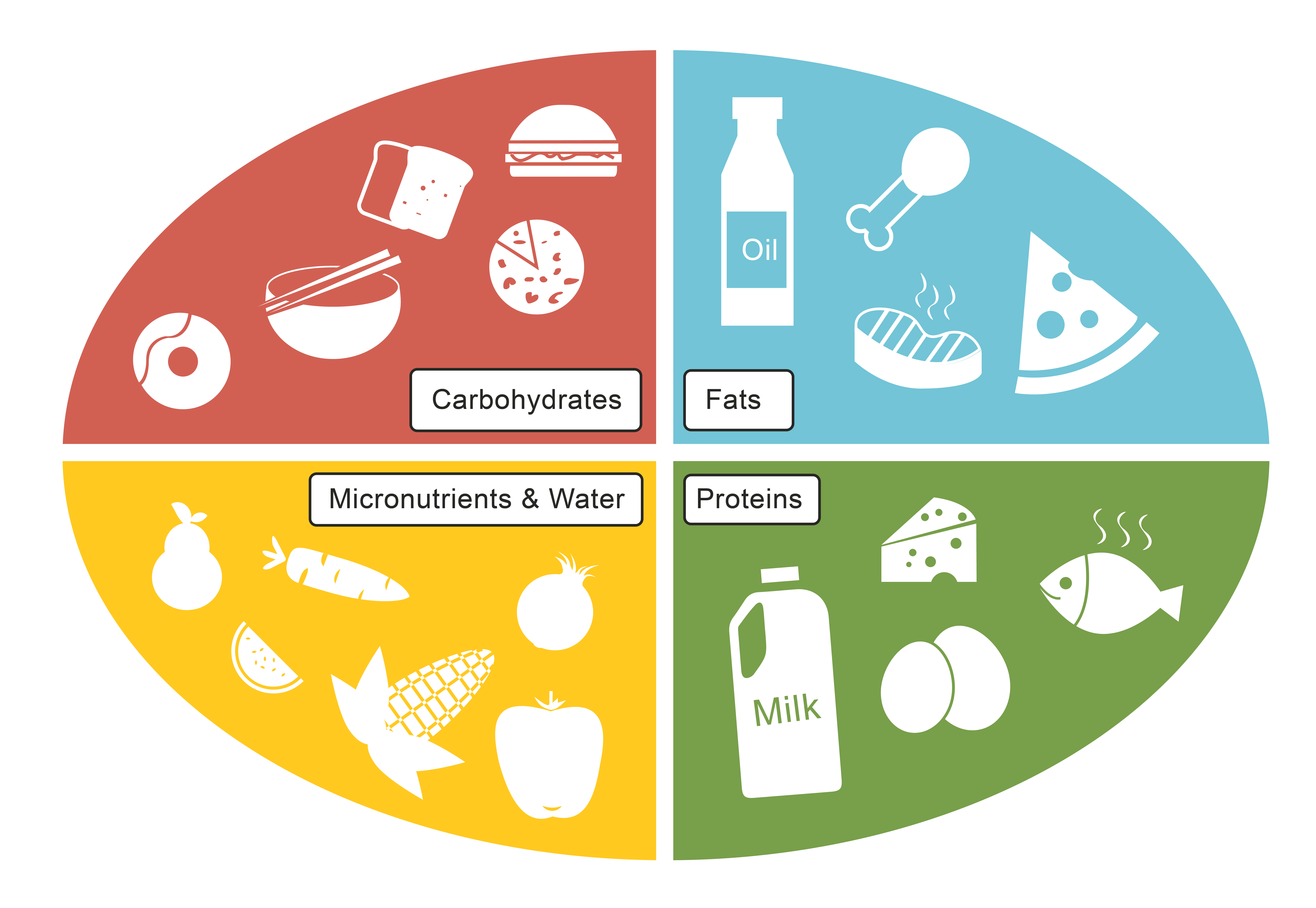 Explain the Importance of a Healthy Diet Worksheet - EdPlace