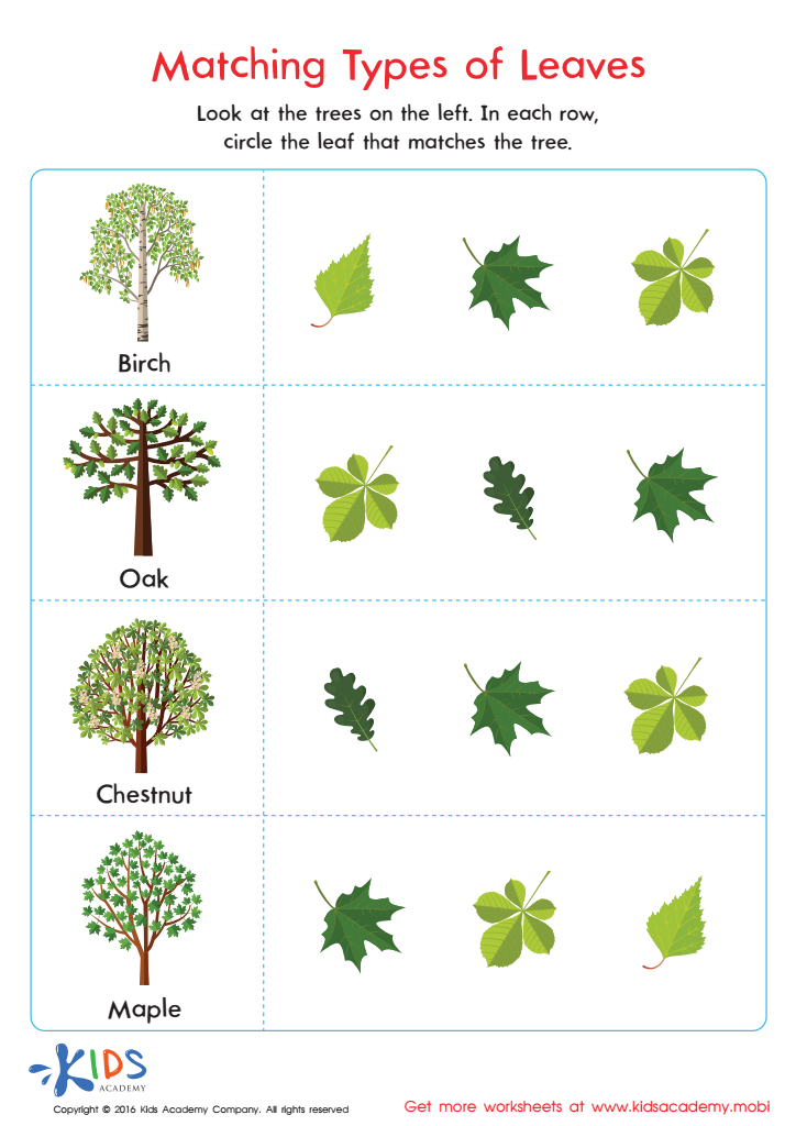 different types of worksheet
