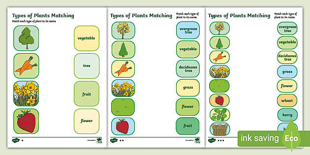 different types of worksheet
