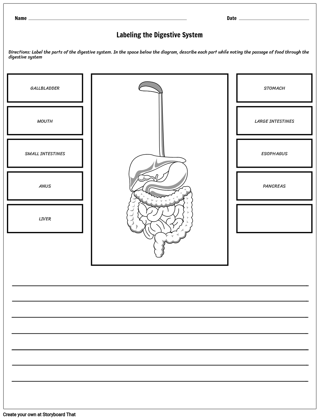 Digestive System: Labeling Guide | Educational Worksheet
