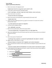 Digestive System Review Worksheet.pdf - Honors Biology Digestive ...
