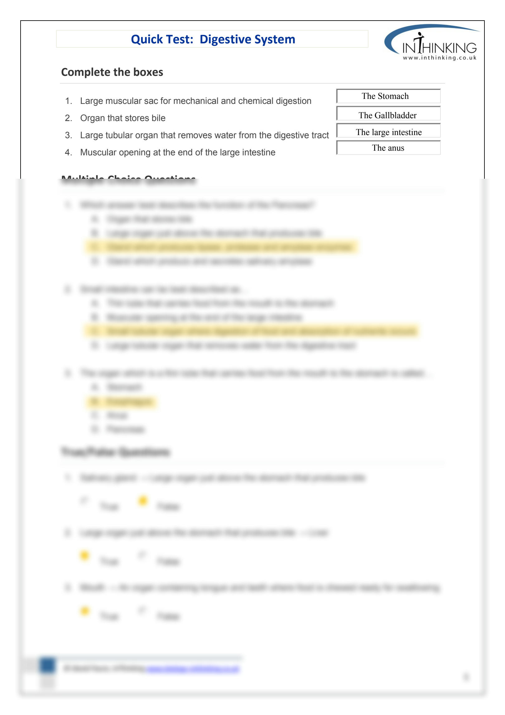 SOLUTION: Digestive System worksheet / InThinking - ANSWERS