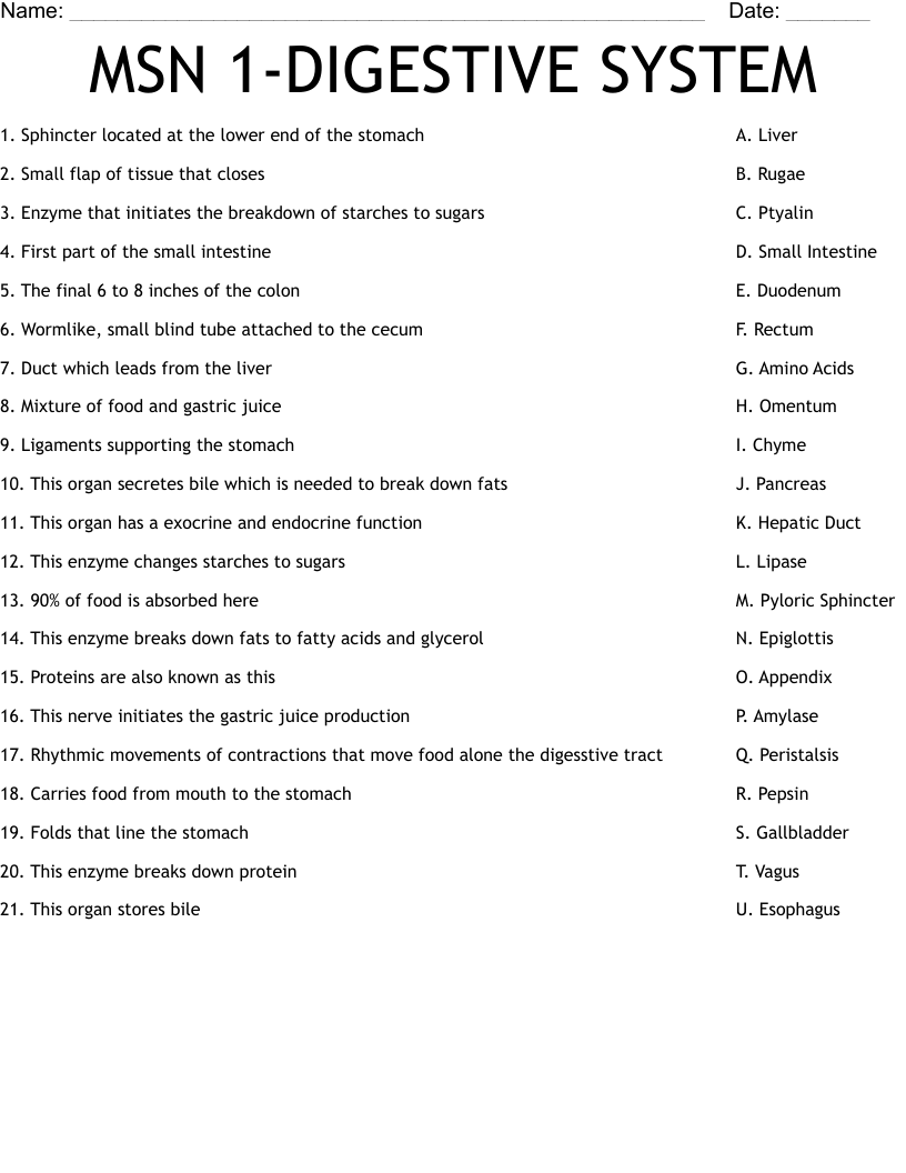 MSN 1-DIGESTIVE SYSTEM Worksheet - WordMint