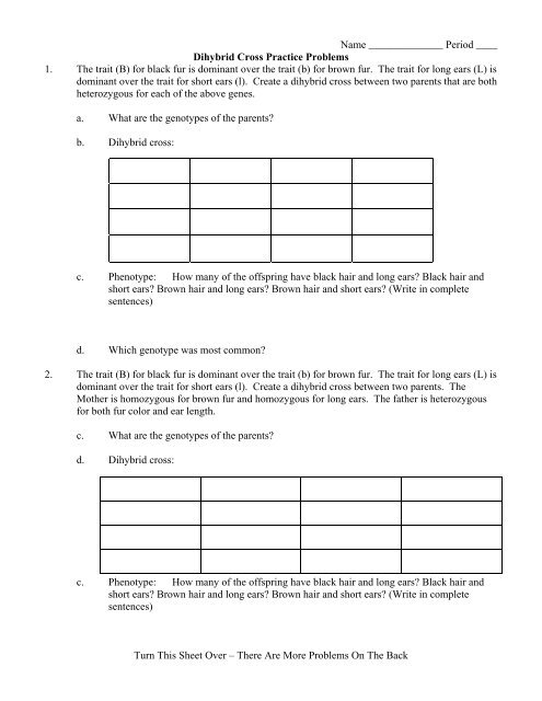 dihybrid cross worksheet with answers