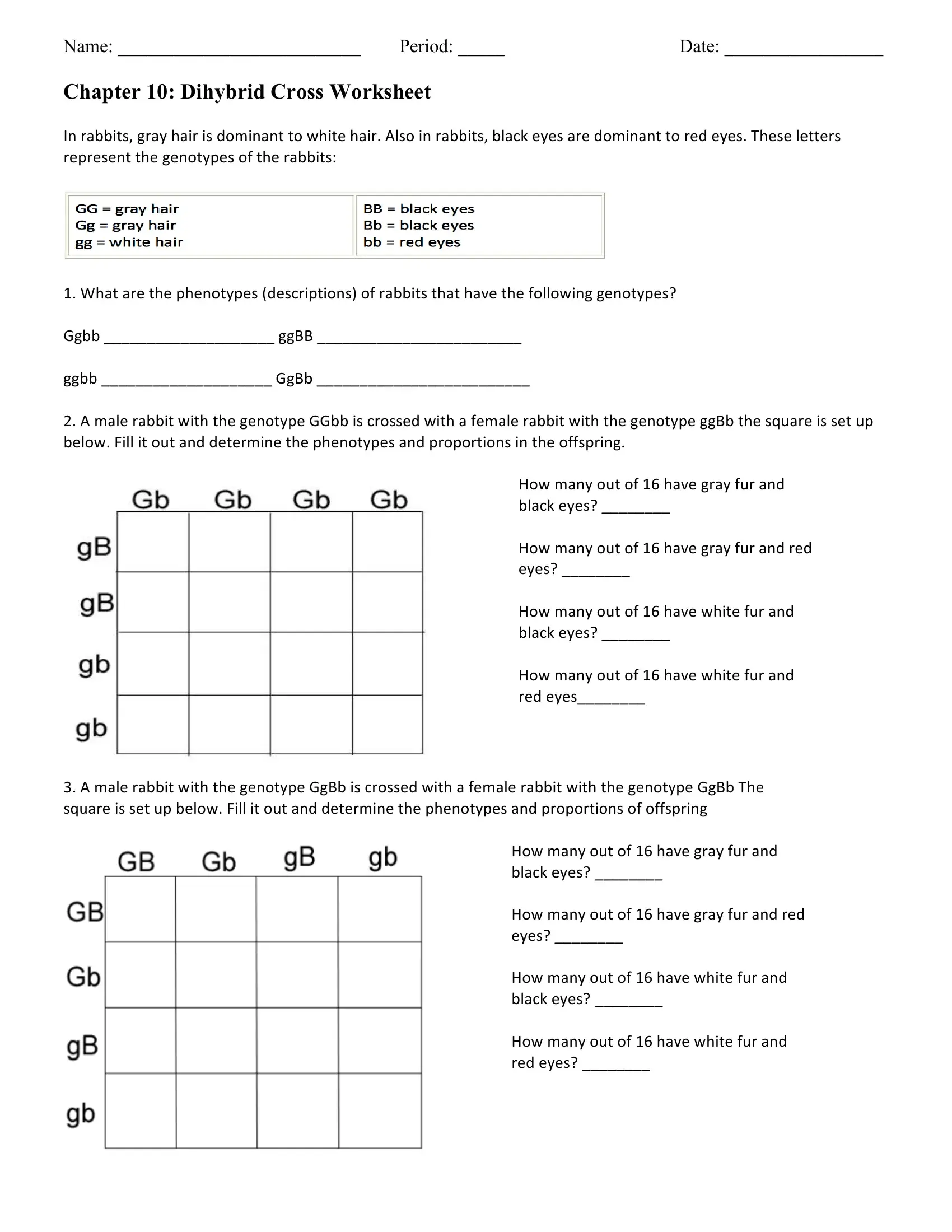 Chapter 10 Dihybrid Cross Worksheet PDF Form - FormsPal