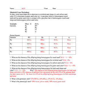 Dihybrid Cross Worksheet 2020-2024 - Fill and Sign Printable ...