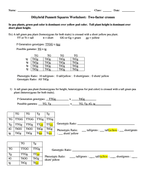 Dihybrid Cross Worksheet - Fill and Sign Printable Template Online