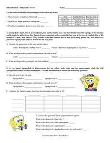 Dihybrid Cross Lesson Plans &  Worksheets :: 25 - 29