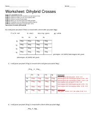 answers for dihybrid worksheet 2 - Name Period Worksheet ...