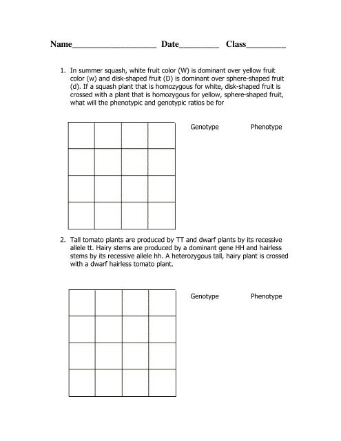 Dihybrid Cross worksheet