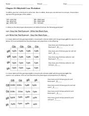 dihybrid crosses worksheet answers