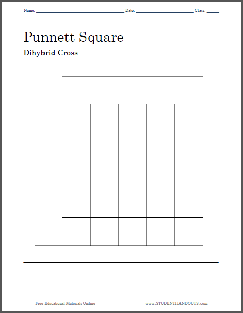 dihybrid crosses worksheet