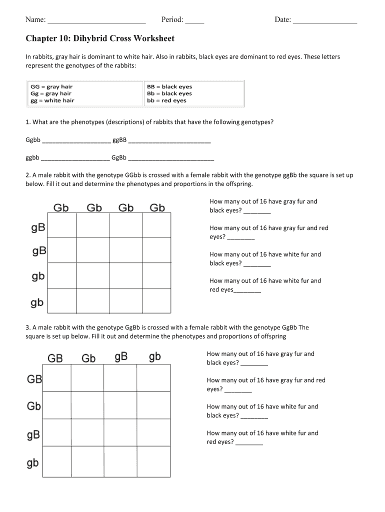 Dihybrid cross worksheet: Fill out &  sign online | DocHub