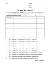 Heredity Worksheet: Dihybrid Cross Worksheet for 9th - 12th Grade ...