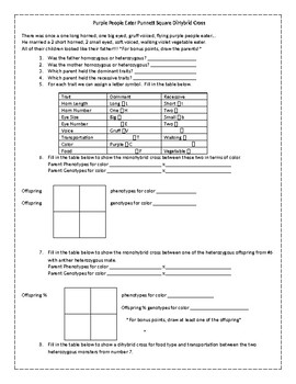 Dihybrid Cross Punnett Practice Worksheet by Science with Mingels