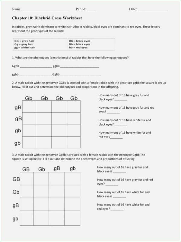 Dihybrid Cross Worksheet Answers Beautiful Chapter 10 Dihybrid ...