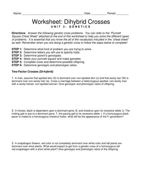 dihybrid worksheet