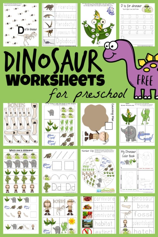 dinosaur worksheet for 1st grade