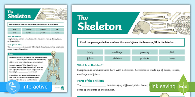 The Skeleton Cloze Procedure (teacher made) - Twinkl