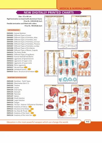 disarticulated skeleton worksheet