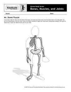 disarticulated skeleton worksheet