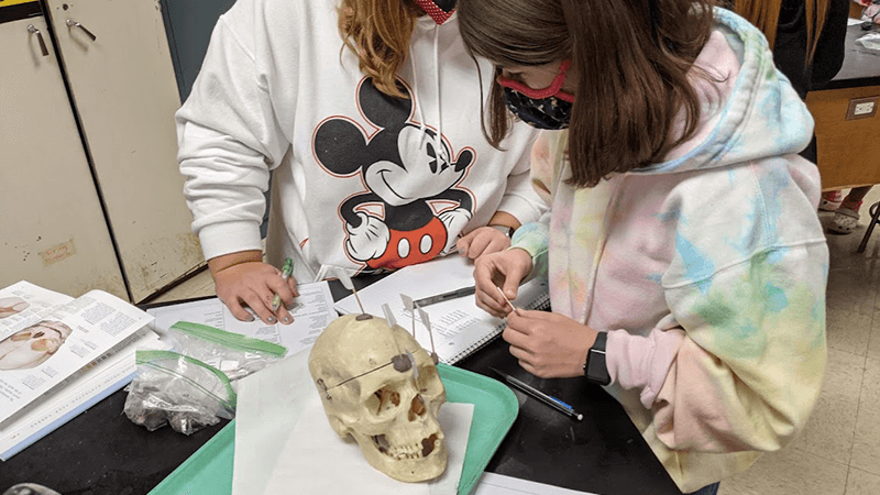 A Students Guide to Learning the Human Bones