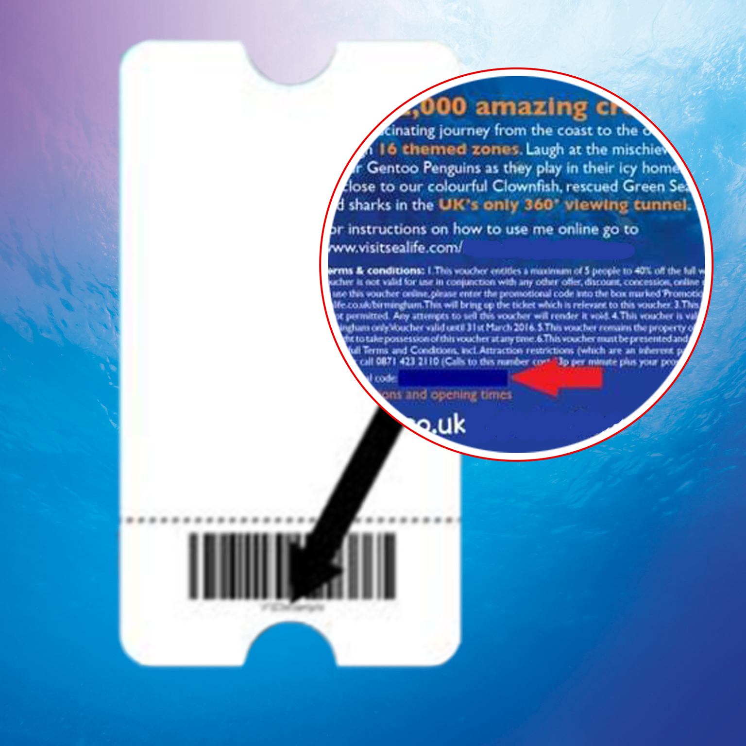 discount vouchers blackpool