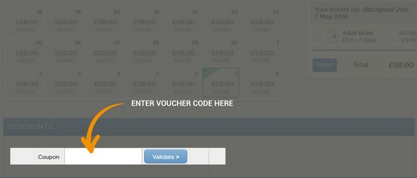Blackpool Zoo Discount Code → 20% Off in September 2024 &  Many ...