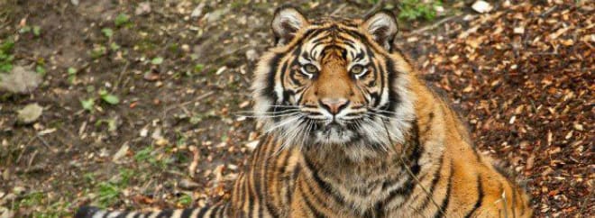 Dudley Zoo Vouchers: Savings - September 2024