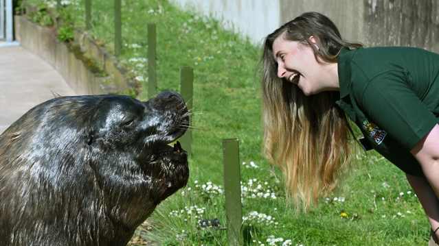 discount vouchers dudley zoo