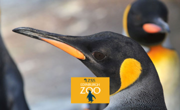 discount vouchers edinburgh zoo