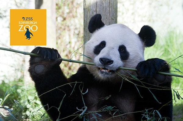 discount vouchers edinburgh zoo