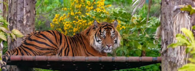 discount vouchers edinburgh zoo