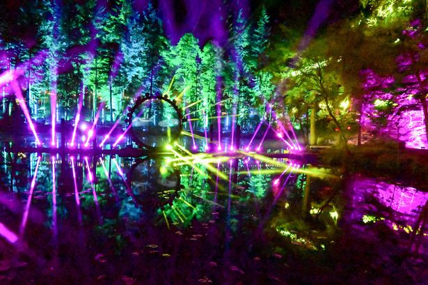 The lights are back in the Perthshire forest and everyone is ...