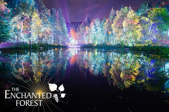 discount vouchers enchanted forest pitlochry