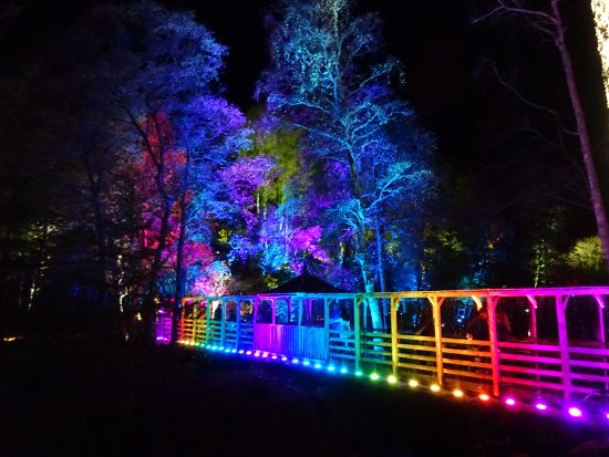 Less than Enchanted - Review of The Enchanted Forest, Pitlochry ...