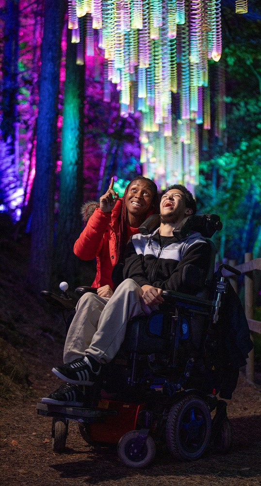 discount vouchers enchanted forest pitlochry