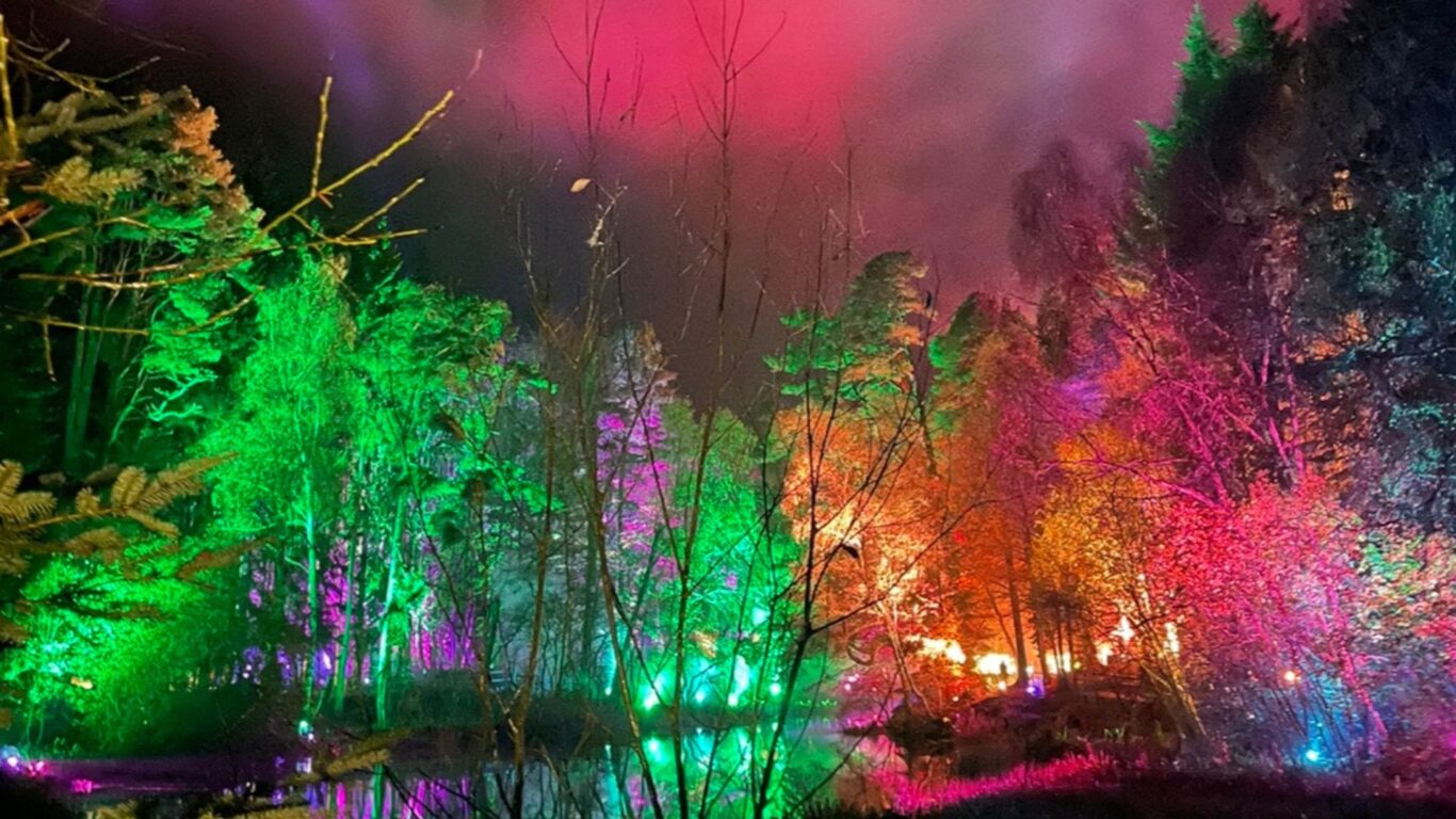 The Enchanted Forest | Pitlochry Hotel | Scotlands Spa Hotel