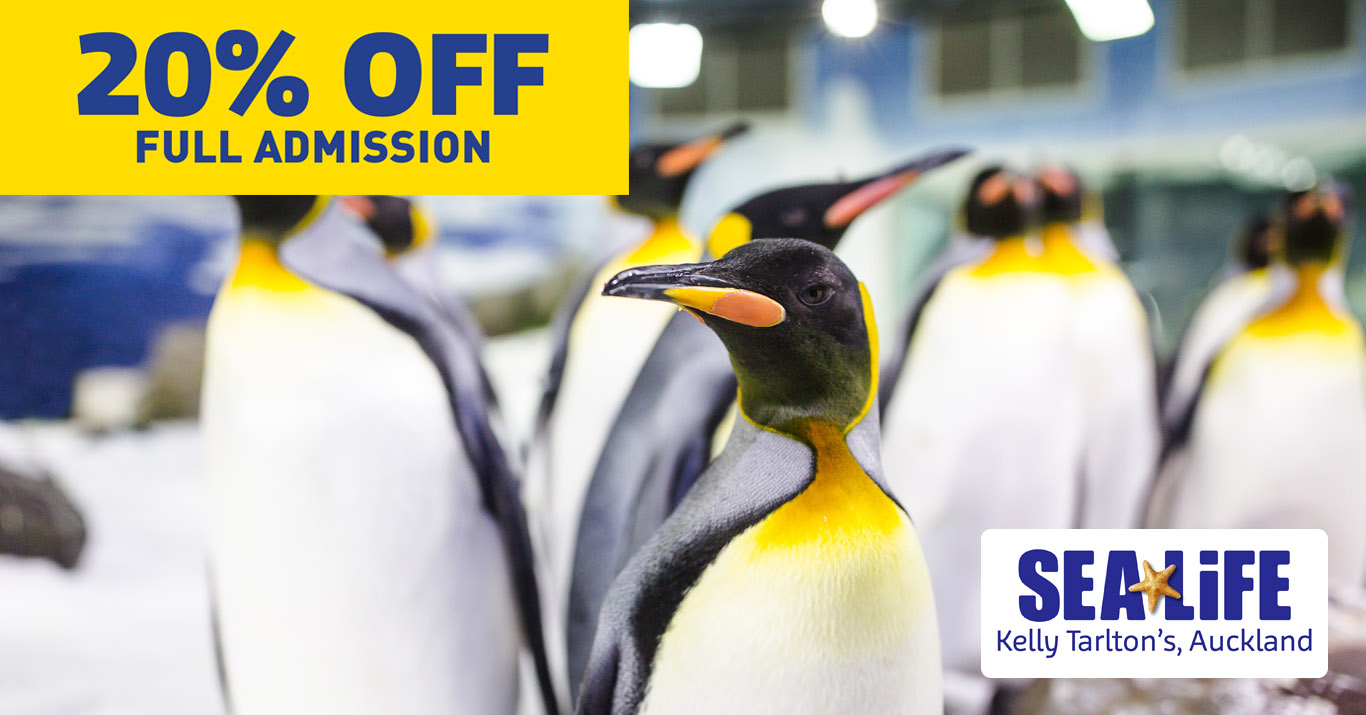 discount vouchers kelly tarltons