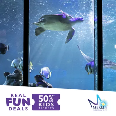 50% off kids tickets! | SEA LIFE Scarborough Aquarium