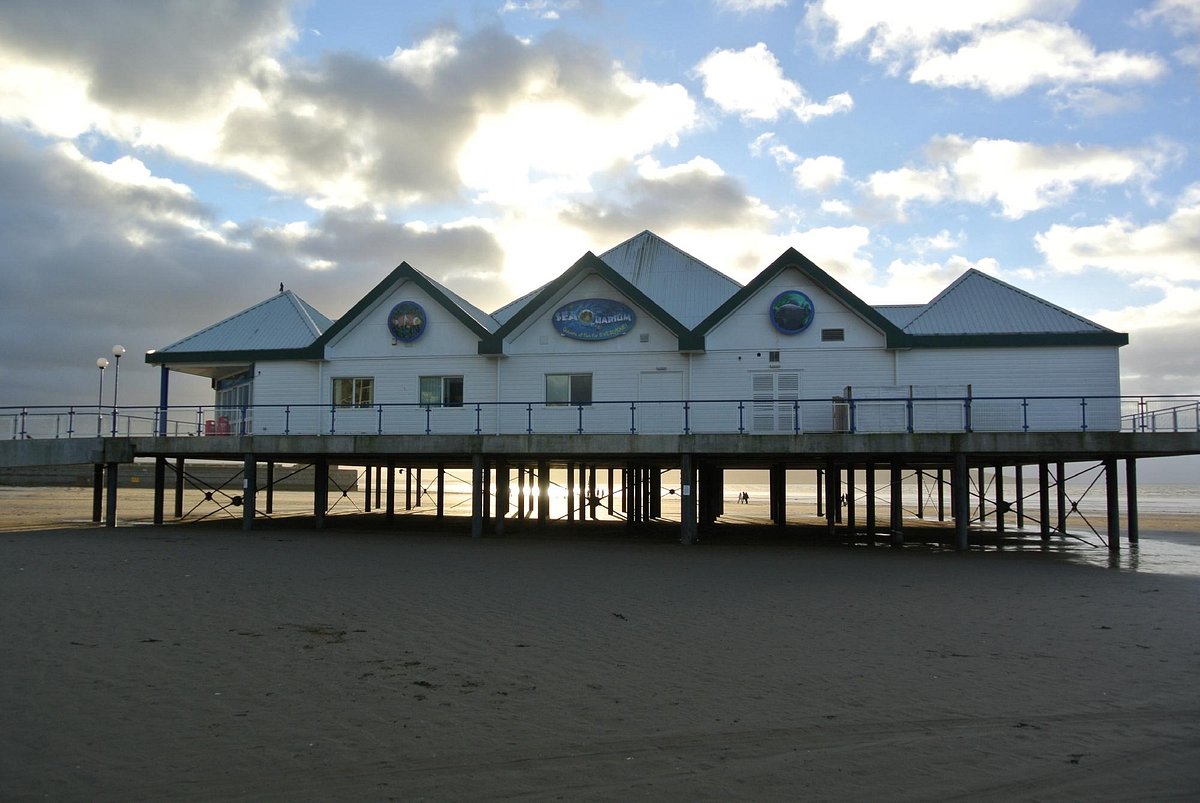 discount vouchers weston super mare seaquarium