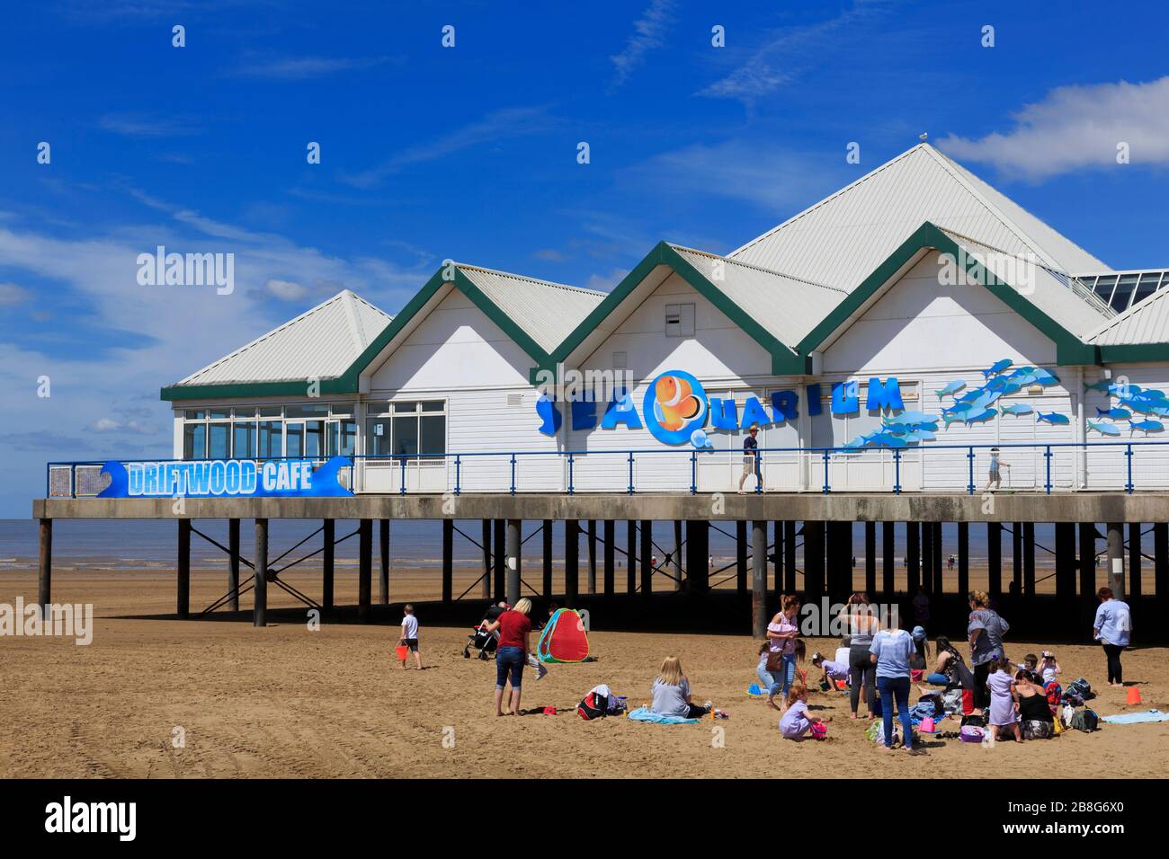 discount vouchers weston super mare seaquarium