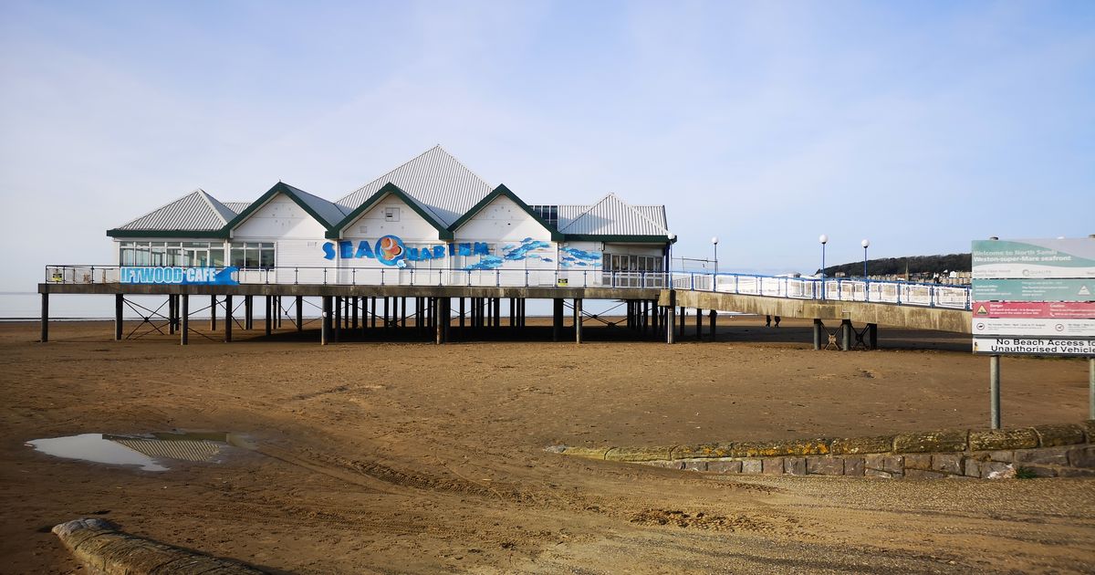 discount vouchers weston super mare seaquarium
